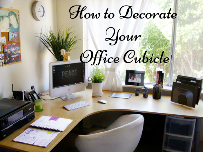 How to decorate an office cubicle